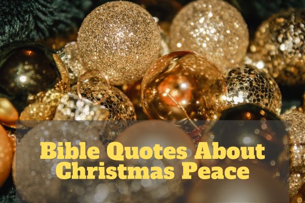 Bible Quotes About Christmas Peace