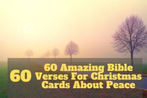 Bible verses about stupidity – Bible Verses of the day