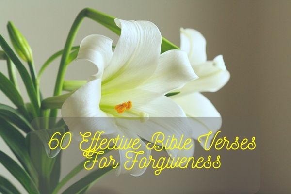 Bible Verses For Forgiveness