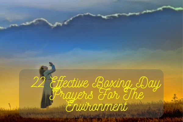 Boxing Day Prayers For The Environment