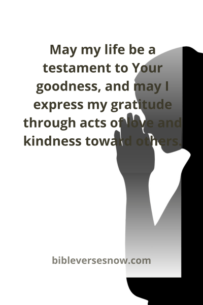 Boxing Day Reflections from Luke 2:14
