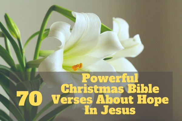 Christmas Bible Verses About Hope In Jesus