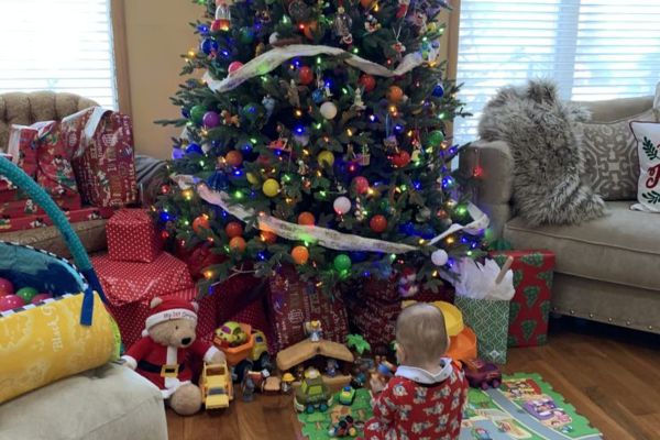 Christmas Tree Ball Pit