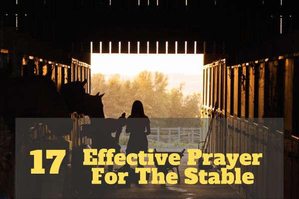 Effective Prayer For The Stabl
