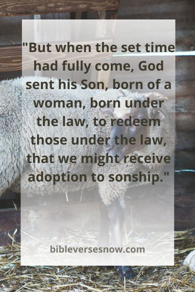 Galatians 4