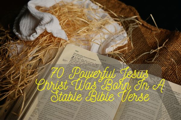 Jesus Christ Was Born In A Stable Bible Verse