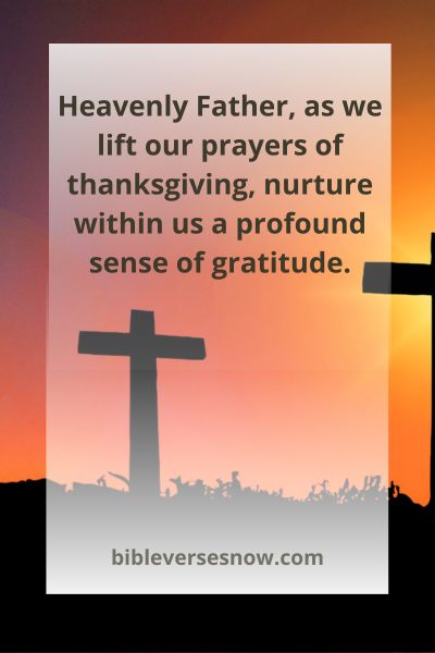 Nurturing Gratitude in the New Year