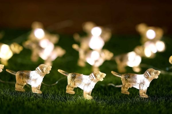 Pet Safe String Lights