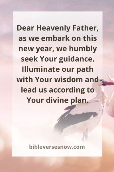 Seeking Guidance