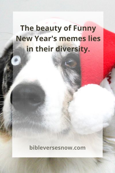 Types of Funny New Year's Memes