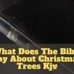 What Does The Bible Say About Christmas Trees Kjv
