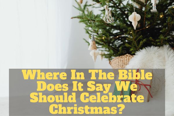 Where In The Bible Does It Say We Should Celebrate Christmas?