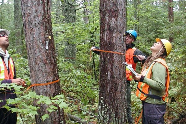 Forestry Technician Needed At Integrated ProAction British Columbia, Canada