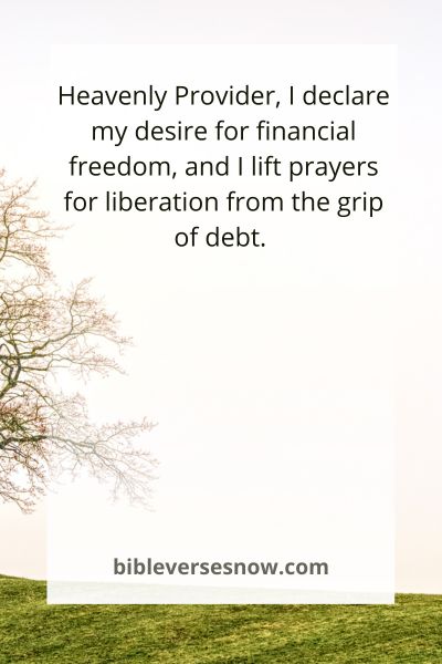 Debt-Free Declarations