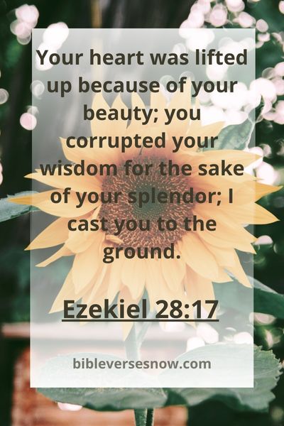 Ezekiel 28:17