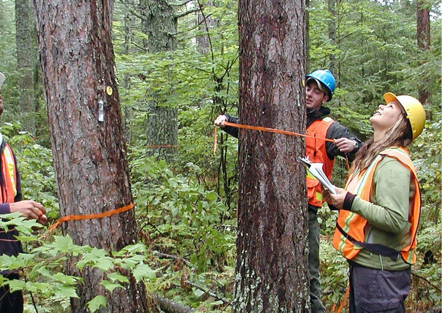 Forestry Technician Needed At Tolko Industries Ltd. (Vernon, BC) Lumby, BC, Canada