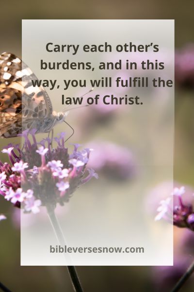 Galatians 6:2