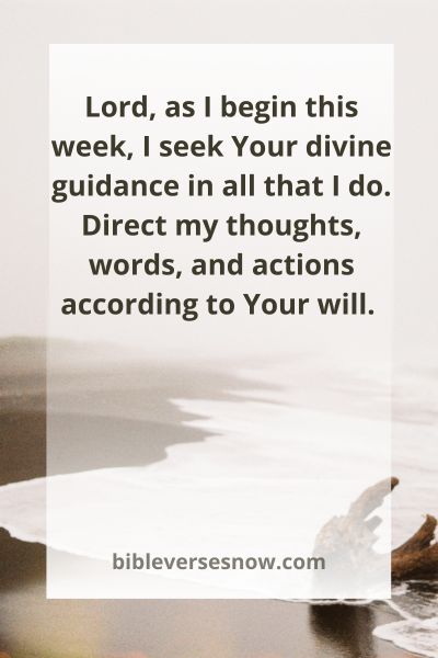 Proverbs 3:5-6