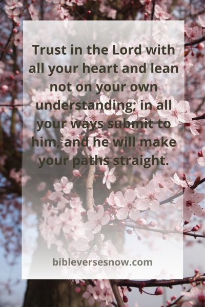 Proverbs 3:5-6