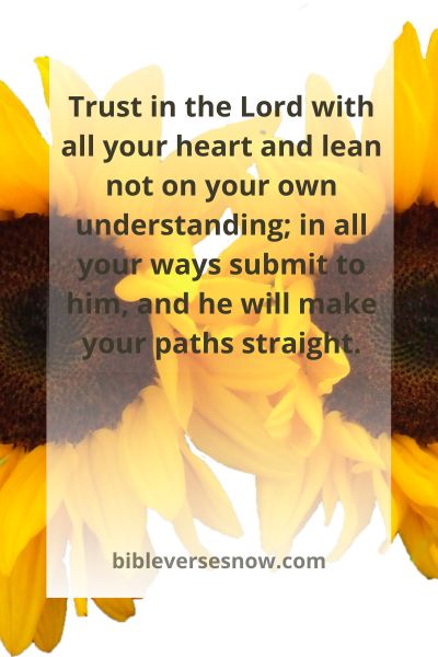 Proverbs 3:5-6