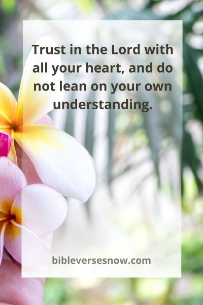 Proverbs 3:5-6
