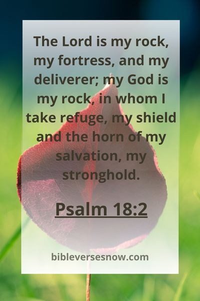 Psalm 18:2