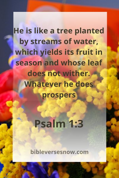 Psalm 1:3