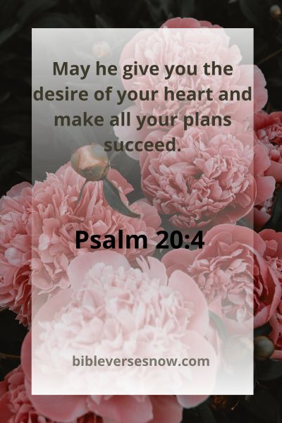 Psalm 20:4