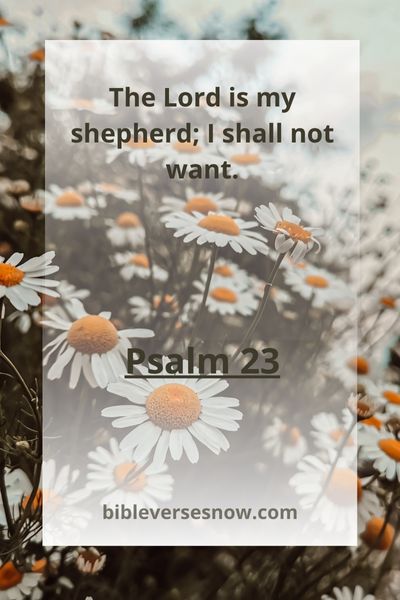 Psalm 23