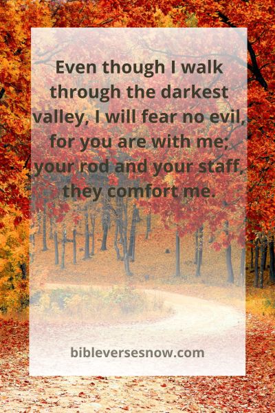 Psalm 23:4