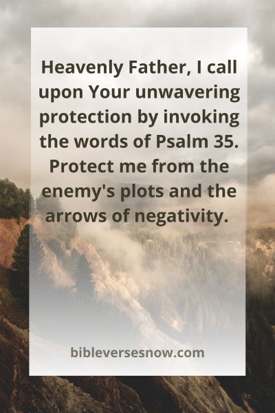 Psalm 35:24–25