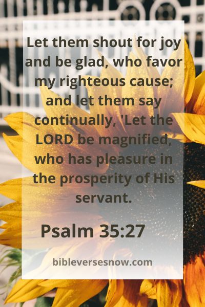 Psalm 35:27