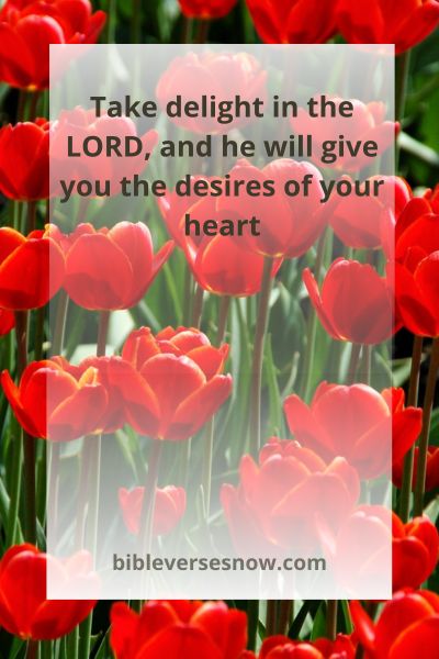 Psalm 37:4