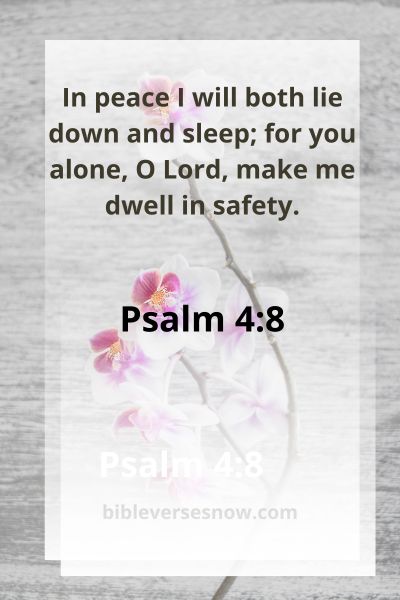 Psalm 4:8