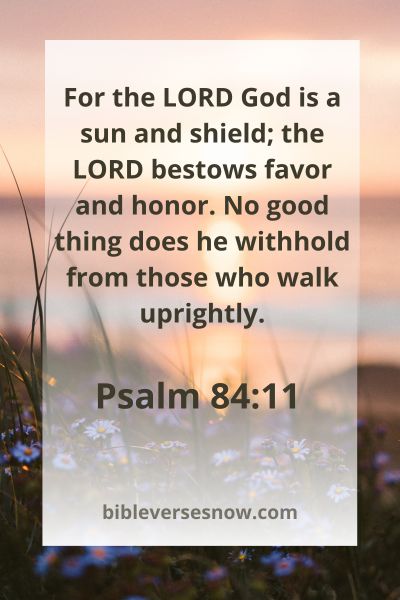 Psalm 84:11