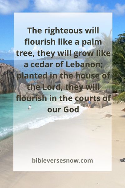 Psalm 92:12-14 