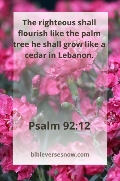 Psalm 92:12