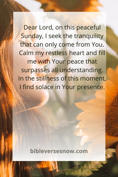Seeking Peace and Serenity