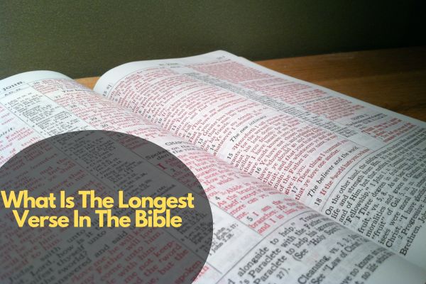 What Is The Longest Verse In The Bible