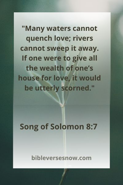 Song of Solomon 8:7