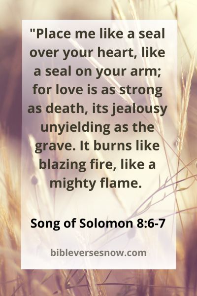 Song of Solomon 8:6-7