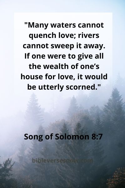Song of Solomon 8:7