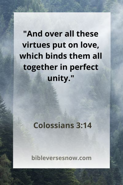 Colossians 3:14