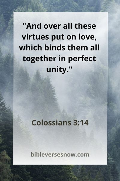 Colossians 3:14