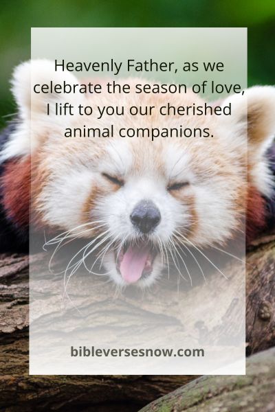 Blessings for Our Furry Friends on Valentine's Day