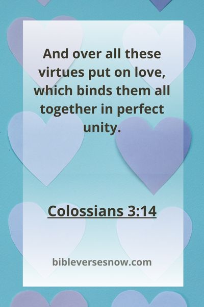 Colossians 3:14