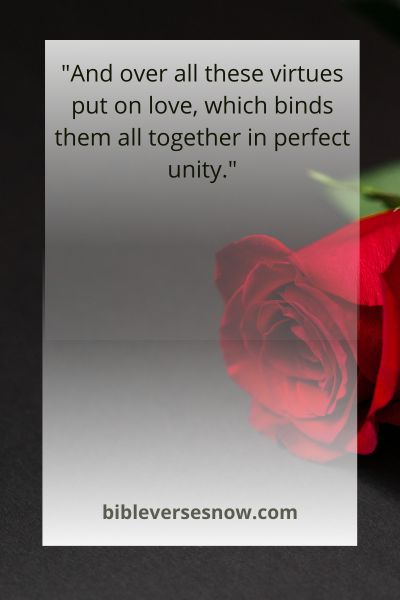 Colossians