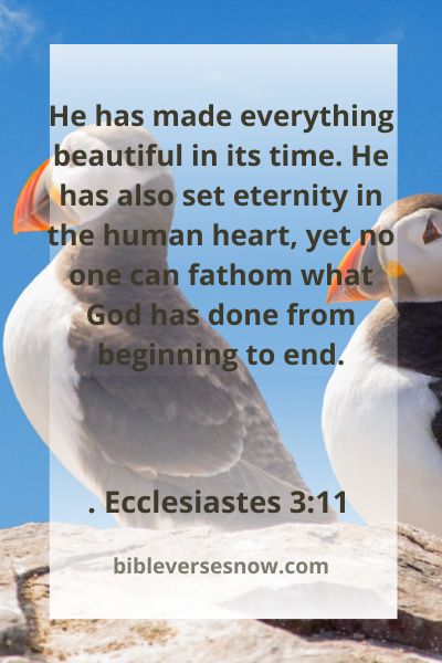 Ecclesiastes 3:11