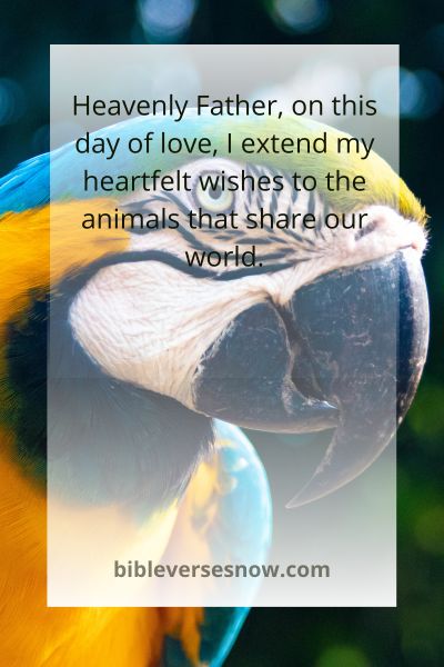 Love and Protection