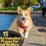 Valentine's Day Prayer For Animal Welfare